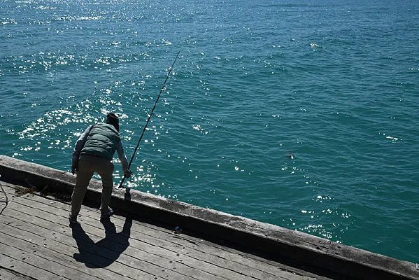 Best Portable Underwater Fishing Camera 2025 – Real-Time Fish Finder with 4.3" LCD Monitor - Echo Leaf