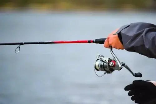 How to Maintain Your Fishing Rod for Long-Lasting Performance
