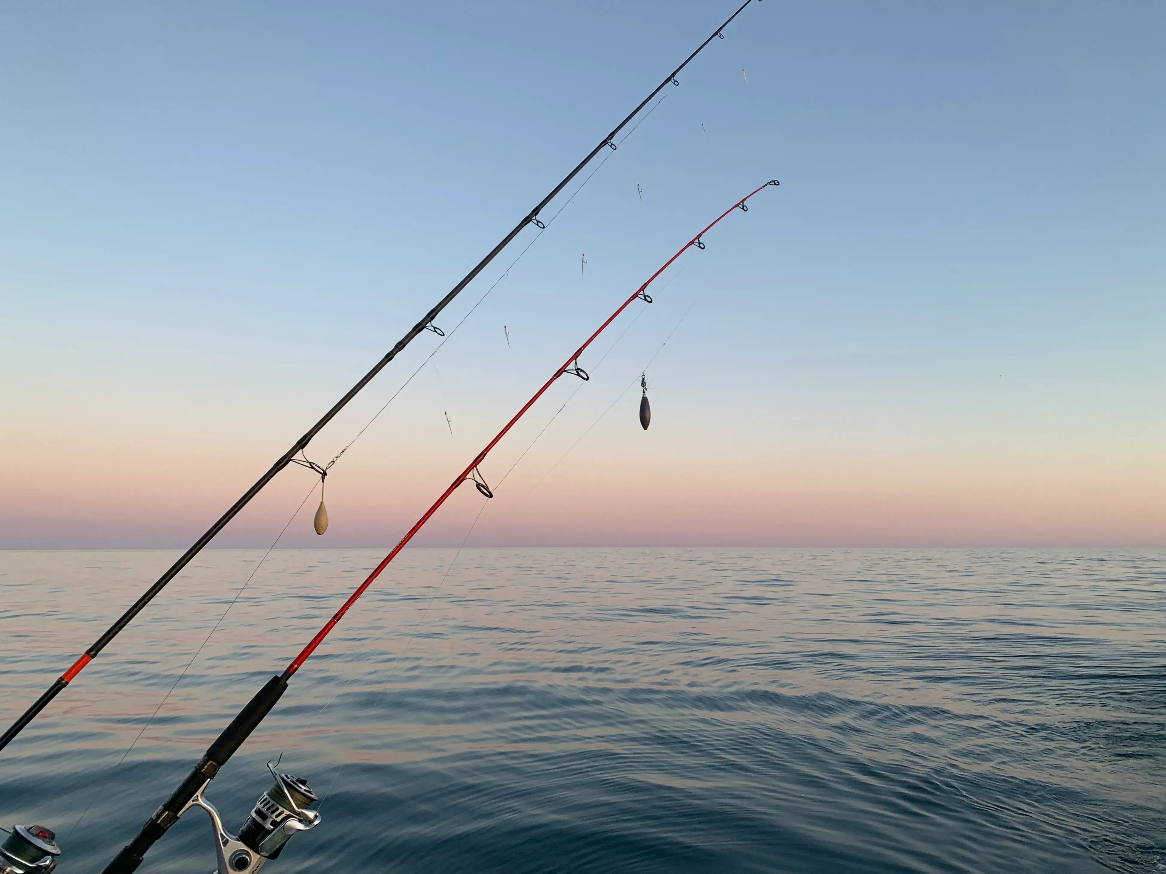 Nice Day for Fishing: How to Spot the Perfect Fishing Weather - Echo Leaf
