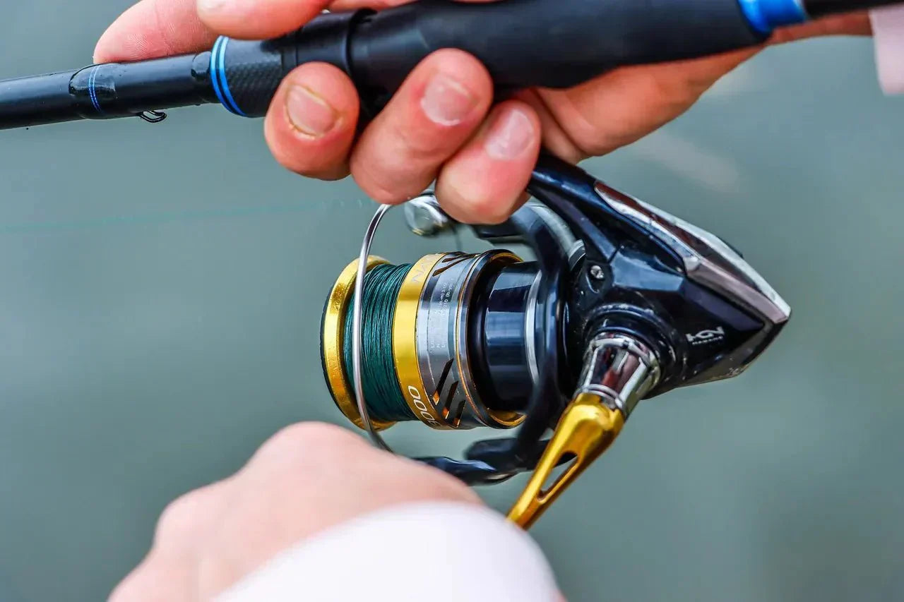 Spinning vs Baitcasting Reels: Which One Fits Your Style? - Echo Leaf