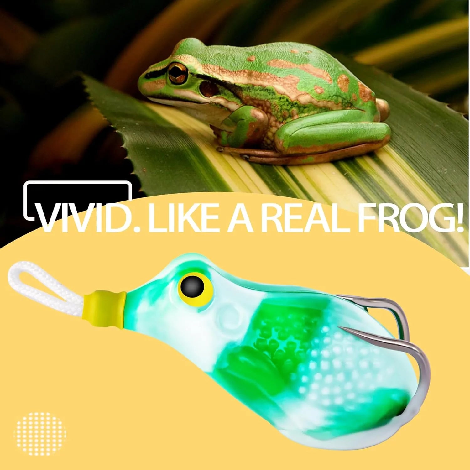 5Pcs Topwater Frog Lures Set – Weedless Soft Bait for Bass