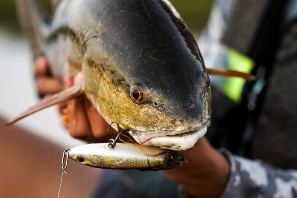 Top-notch high-strength fishing line clamp