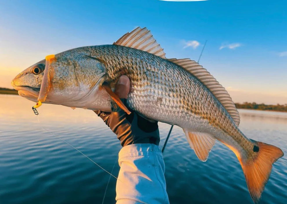 Top-notch high-strength fishing line clamp