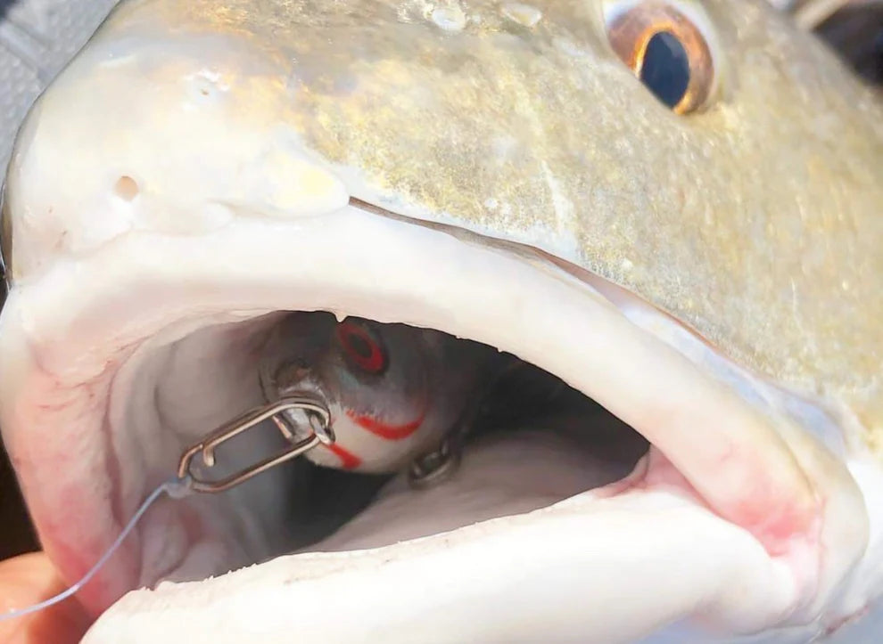 Top-notch high-strength fishing line clamp