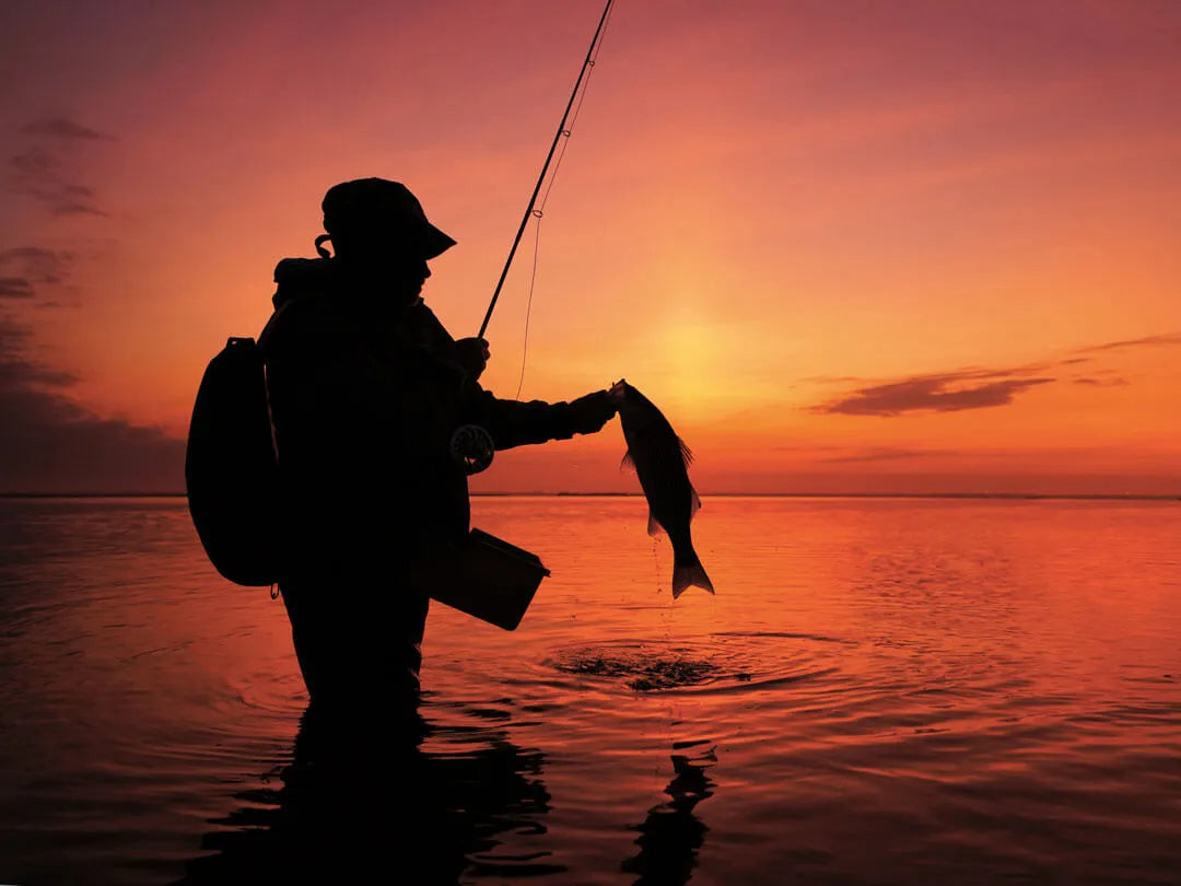 The Complete Guide to Fishing Backpacks and Storage Solutions