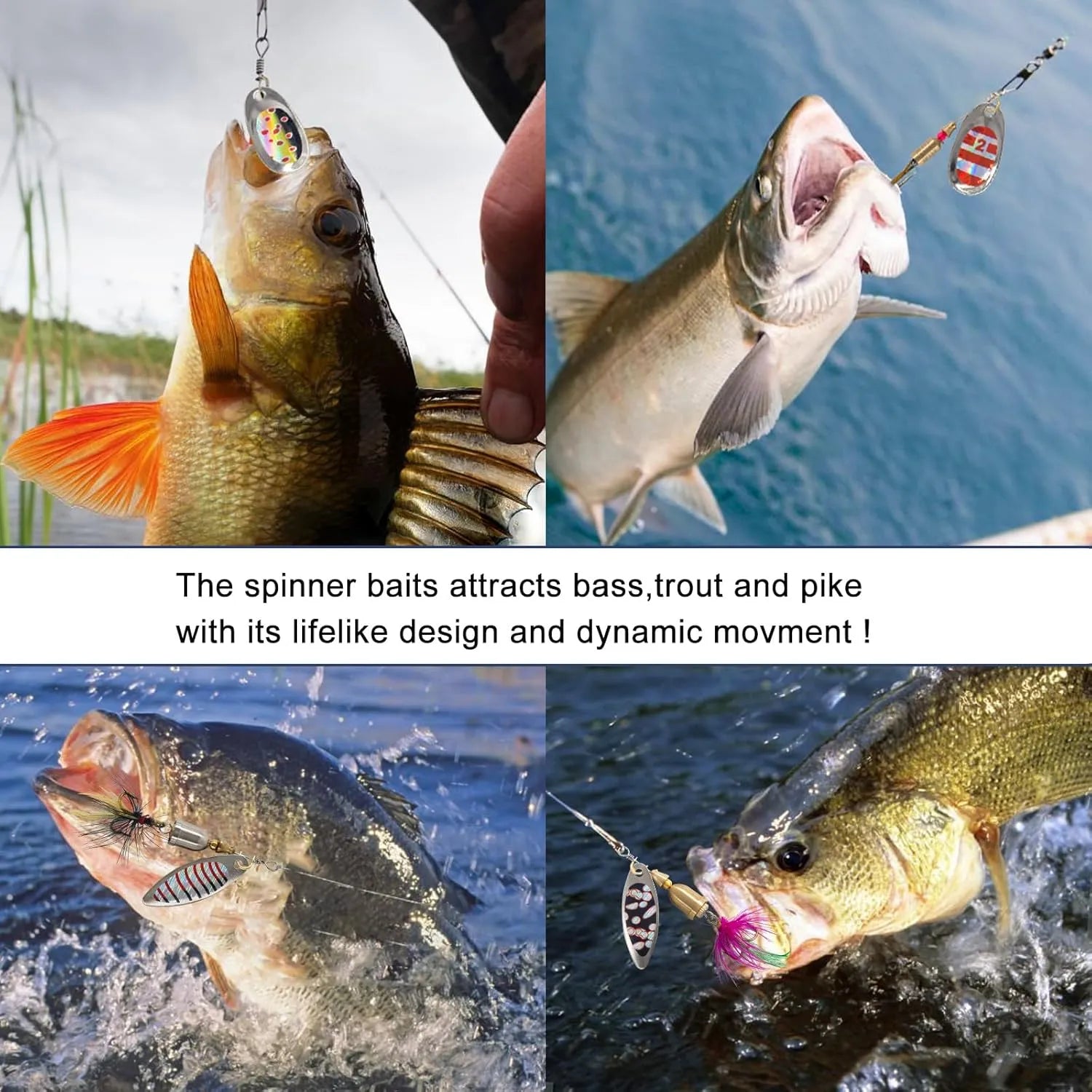 Rooster Tail Fishing Lures Kit – Spinner Baits for Trout, Bass & Salmon