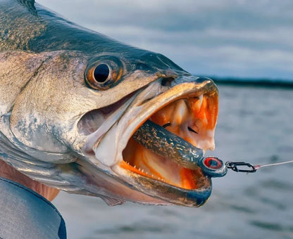 Top-notch high-strength fishing line clamp