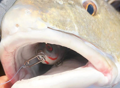 Top-notch high-strength fishing line clamp